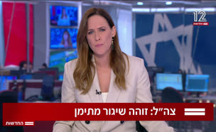 20yemen_vtr2_n20250729_v1 (צילום: חדשות)