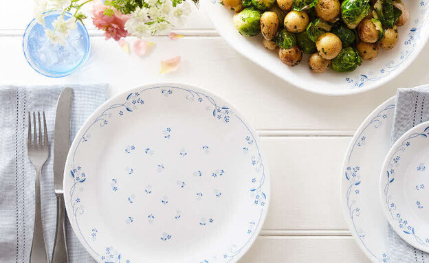 צלחות קורל צלחות קורל