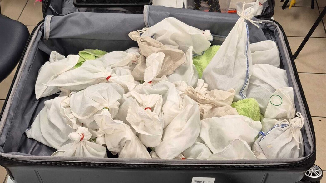 140 זוחלים במזוודה אחת 140 זוחלים במזוודה אחת