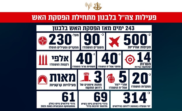 פעילות צה