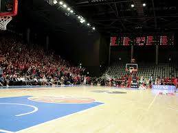 (אלן שיבר (צילום: ספורט 5)