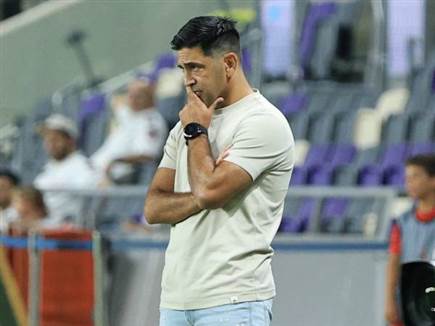 ברדה. למרות הניצחון - חומר למחשבה (אלן שיבר)