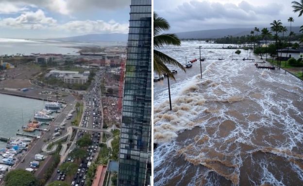 צונאמי אוקיינוס השקט (צילום: לפי סעיף 27א' לחוק זכויות יוצרים)