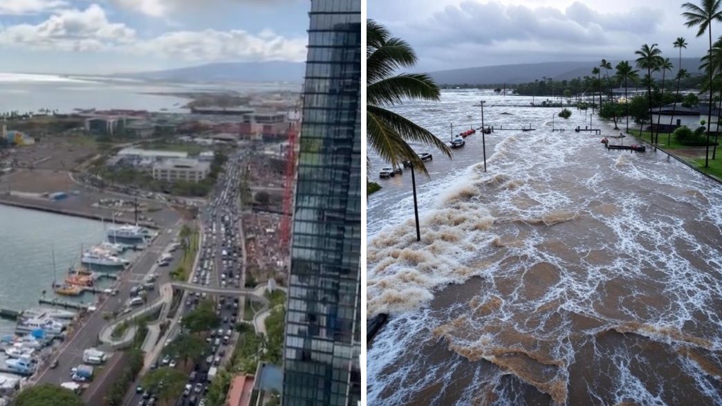 צונאמי אוקיינוס השקט