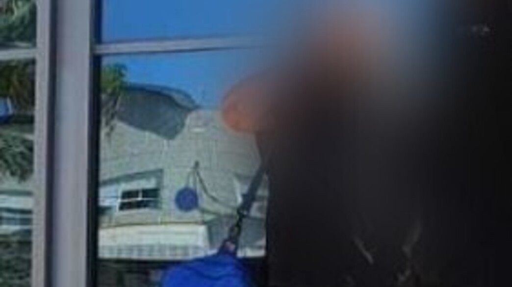 מקורב לדומרני מקורב לדומרני