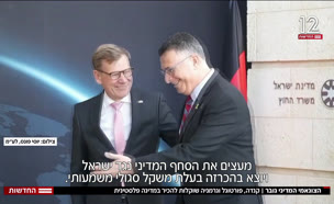 20tsunami_vtr2_n2025031_v1 (צילום: חדשות)