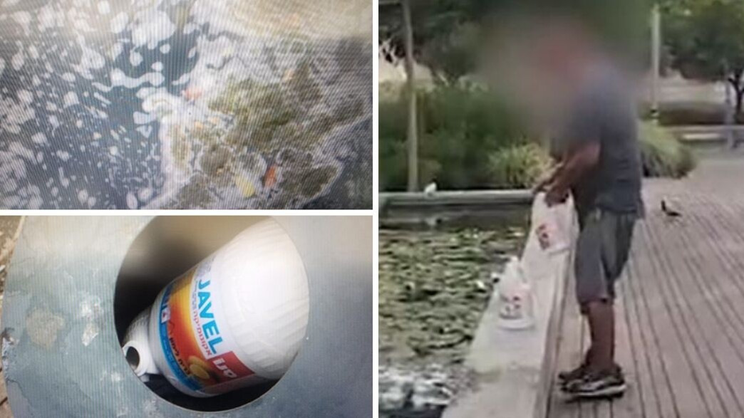 הרעלת הדגים במזרקה ברמת גן