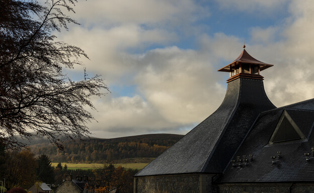 מזקקת גלנפידיך