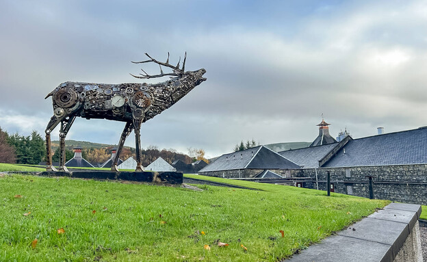 מזקקת גלנפידיך