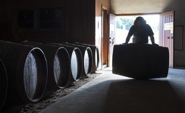 מזקקת גלנפידיך