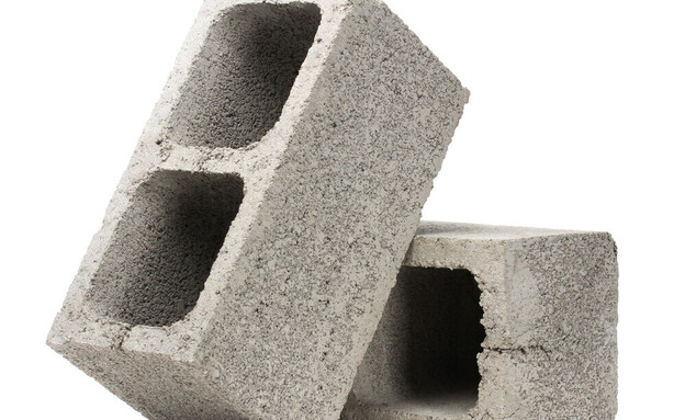 לבנים  (צילום: shutterstock_zcw)