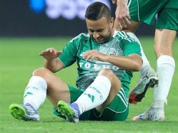 sportFive1583075 (צילום: ספורט 5)