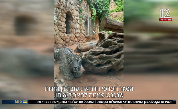 האירוע הקטלני בגן החיות התנ