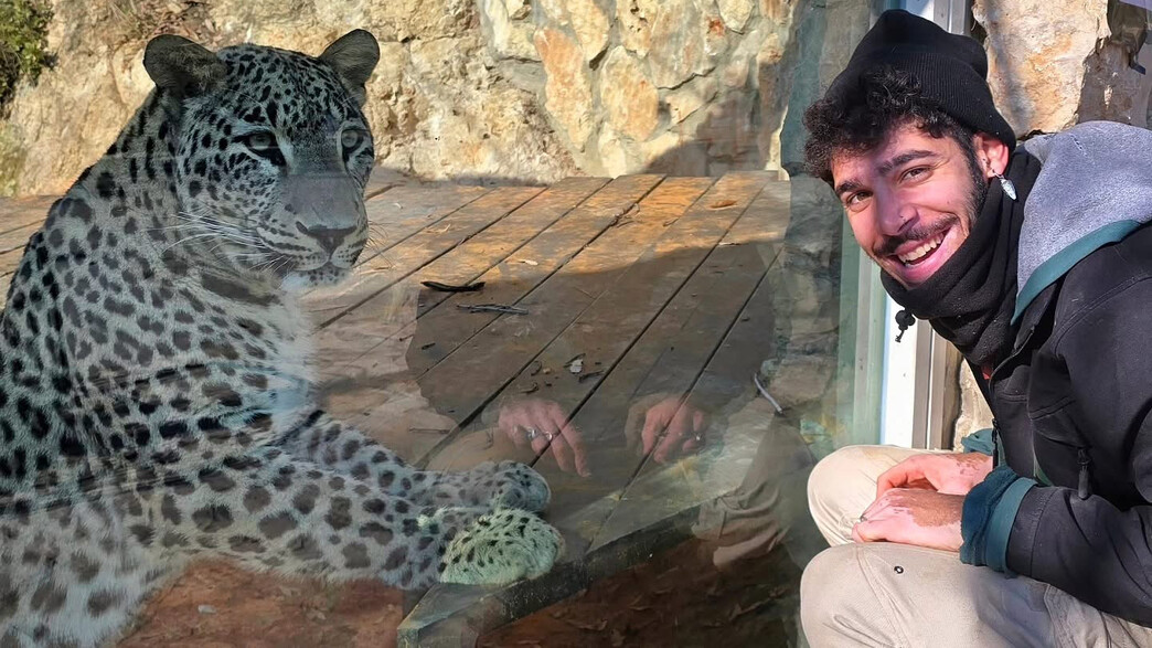 אוריאל נורי