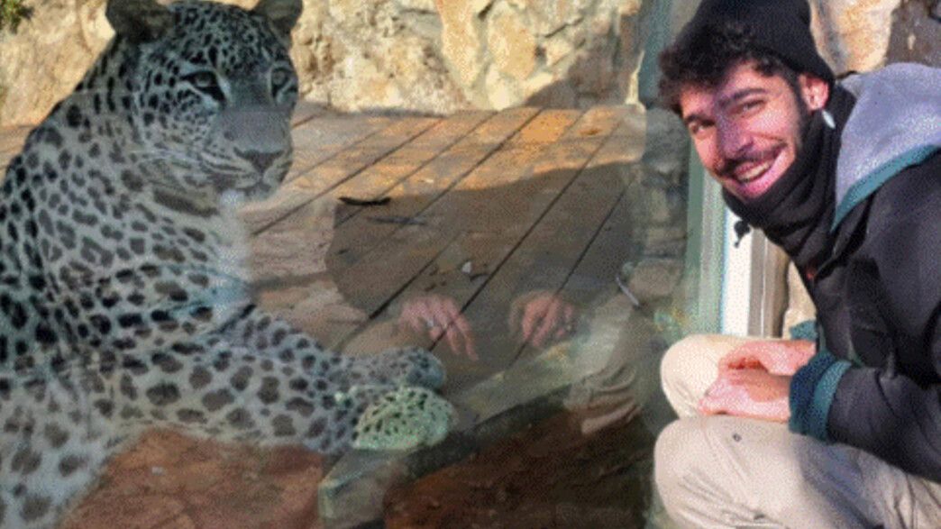 אוריאל נורי