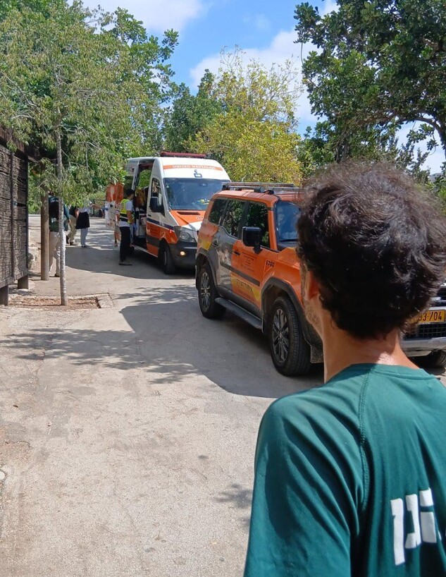 נמר תקף עובד ופצע אותו קשה (צילום: דוברות איחוד והצלה)