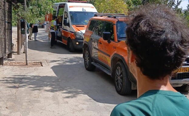 נמר תקף עובד ופצע אותו קשה (צילום: דוברות איחוד והצלה)