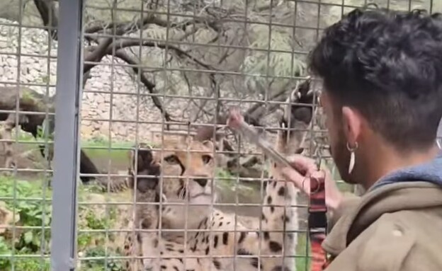 אוריאל נורי ז