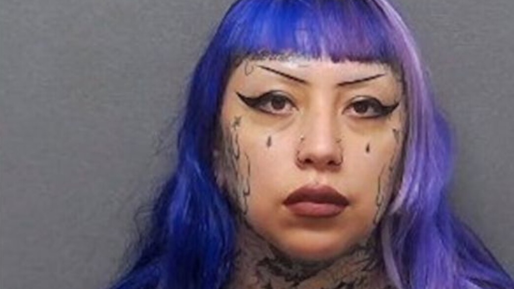 אשלי פארדו אשלי פארדו