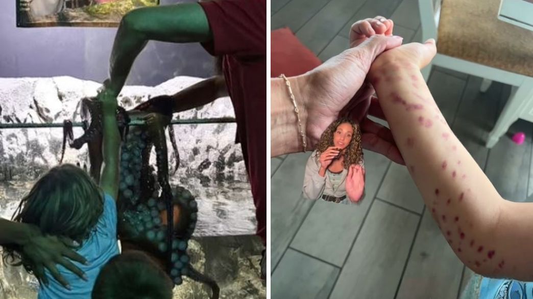 אקווריום סן אנטוניו אקווריום סן אנטוניו