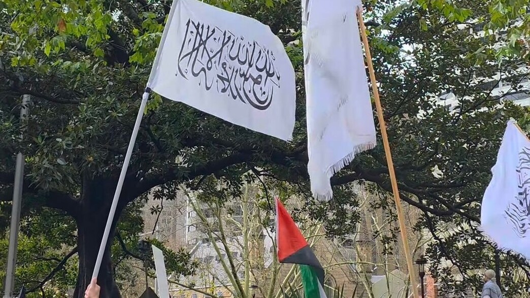 דגלי הטליבאן בהפגנה הפרו-פלסטינית בסידני, אוסטרליה