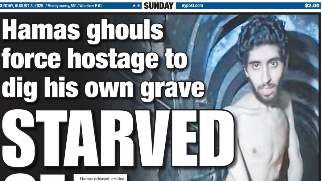 אביתר דוד, שער הניו יורק פוסט