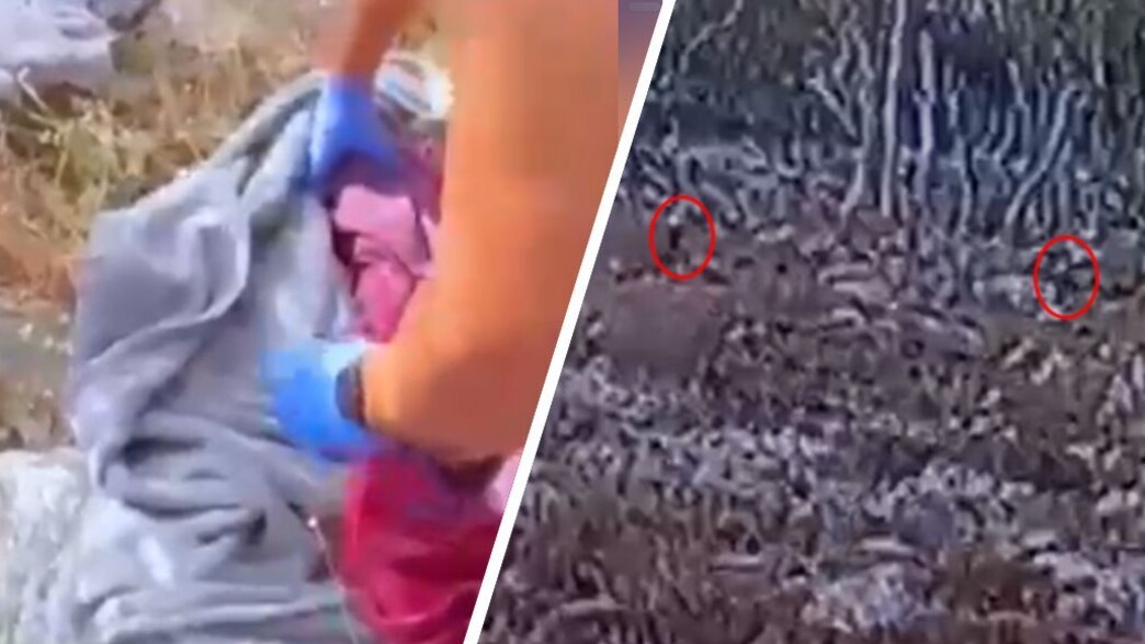 תיעוד הירי בחורשה תיעוד הירי בחורשה