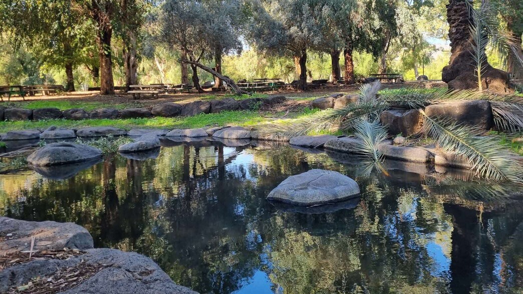 פארק הירדן פארק הירדן