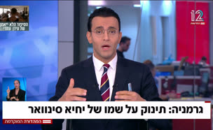 19germany_vtr2_n20250805_v1 (צילום: חדשות)