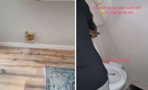 חזרו מחופשה - וזה מה שגילו (צילום: טיקטוק)