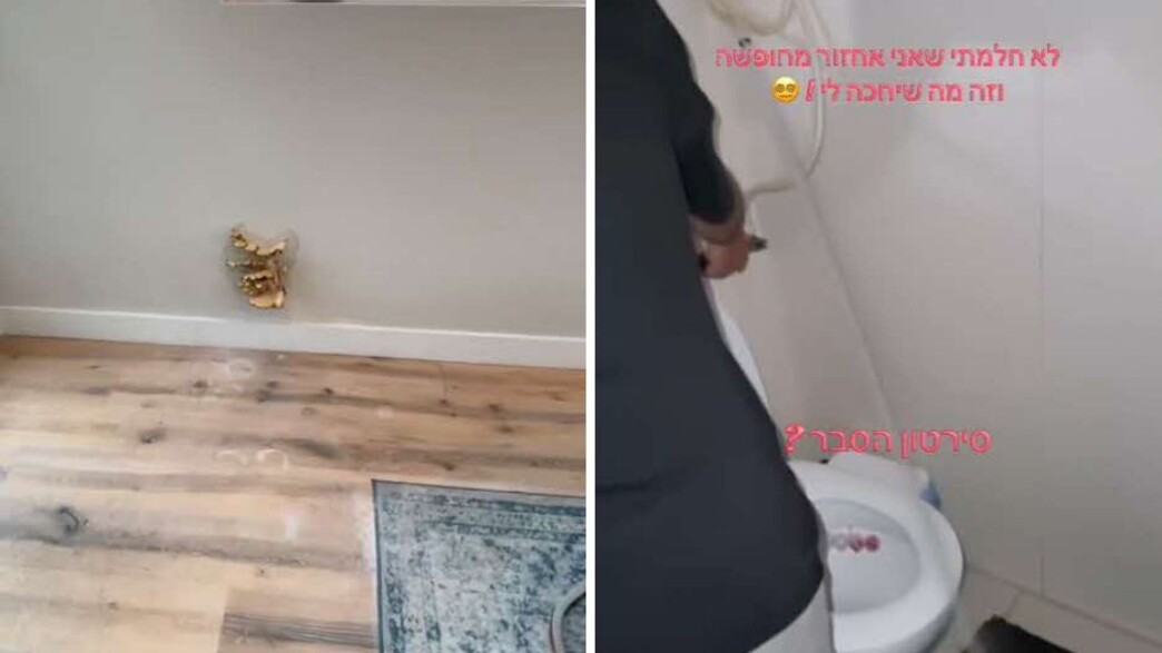 חזרו מחופשה - וזה מה שגילו