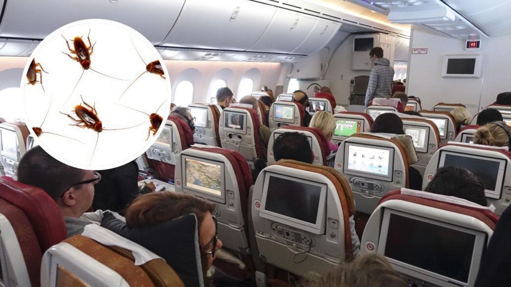 ג'וקים במטוס