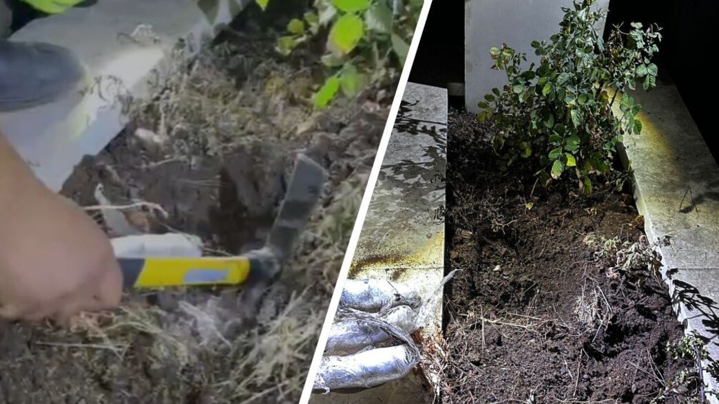 אמל"ח שהוסלק בתוך קבר בצפון