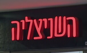 רשת השניצליה