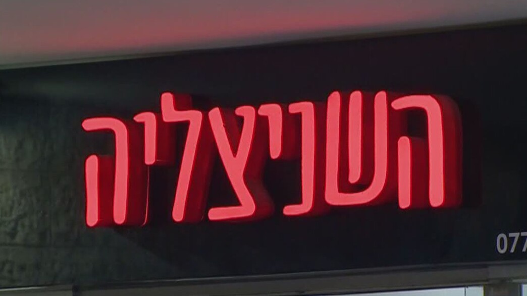 רשת השניצליה
