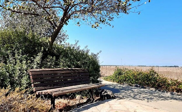 טיילת דרום הגולן (צילום: אבישג מירוני)