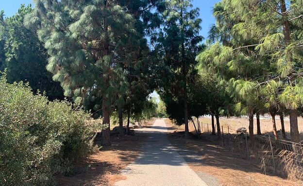 טיילת דרום הגולן (צילום: פז בן דוד)