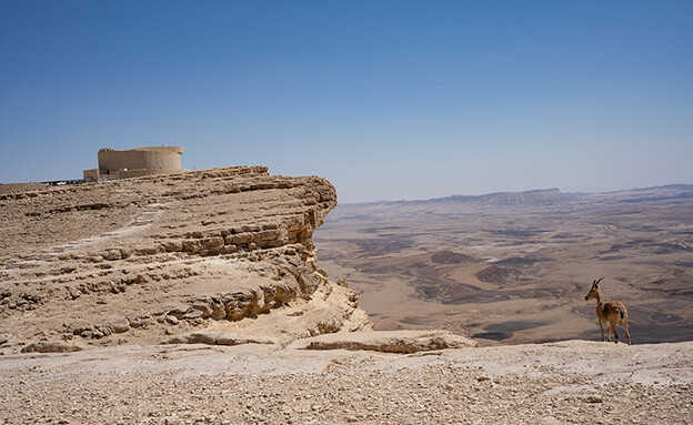 טיילת מצפה רמון (צילום: ערן שפי החוויה המצפאית)