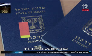 19passport_vtr2_n20250806_v1 (צילום: חדשות)