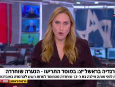 20trag_vtr2_n20250806_v1 (צילום: חדשות)