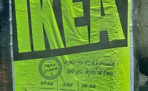 טיולים לאיקאה (צילום: משה ויסברג)