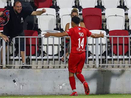 חגיגה אמיתית (דני מרון)