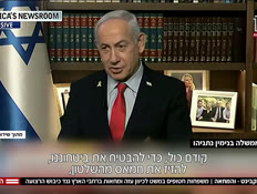 20protests_vtr2_n20250807_v1 (צילום: חדשות)