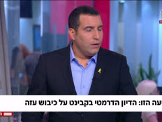20yaroncabinetn_vtr2_n20250807_v1 (צילום: חדשות)