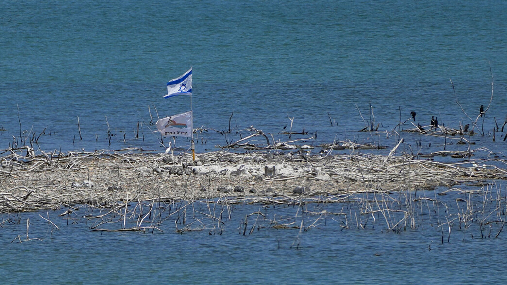 הכנרת