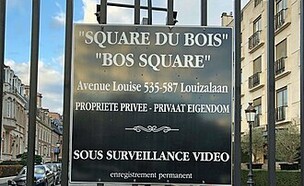 כיכר היער (צילום: רשתות חברתיות לפי סעיף 27 א')