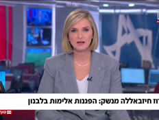 20hemo_vtr_vtr2_n20250809_v1 (צילום: חדשות)