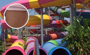 יום הכיף במימדיון הסתיים בסיוט (צילום: instagram)