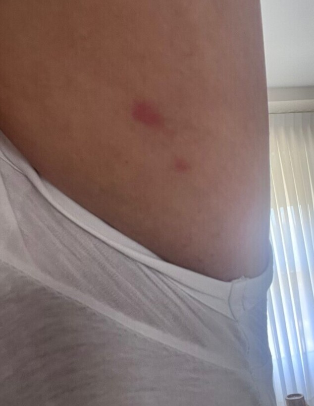 עקיצות מיום הכיף במימדיון עקיצות מיום הכיף במימדיון