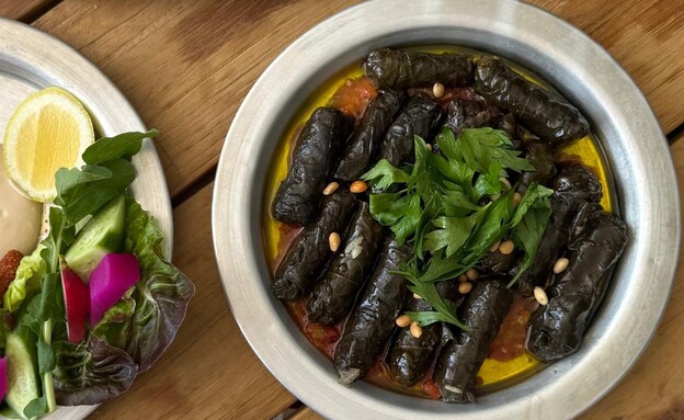 עלי גפן וקובה נייר. מנסורה חיפה (צילום: לין לוי, mako אוכל)